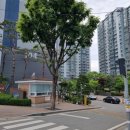 풍림아이원세탁소 이미지