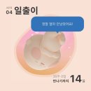 신동다방 | 38주 일상🤰🏻-증상/가진통/윗배뭉침/먹부림/근교 나들이/벚꽃놀이