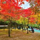 동두소요829 | 경기 서울 근교 여행 동두천 가을 갈만한곳 당일 코스일정 추천