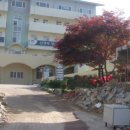 봄내병원 이미지