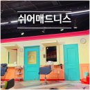 지에스25 가양큰별 | [콘텐츠박스] 대학로 연극 추천 쉬어매드니스, 관객참여형 추리극 B구역 2열 시야 후기