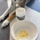 유한사슴농장 이미지