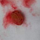 애경동물병원 이미지