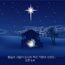 생명그리고빛 Daum카페