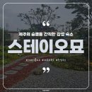 보편적스테이민박 | [제주 숙소] 금오름 바로 옆 우리만의 쉼터가 되어 줄 제주 독채 민박, 스테이오묘