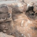 하비투스(Habitus) 이미지