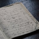 모들&모다들엉 이미지