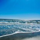 (주)깨끗한도시 노동조합 | 미국 노스캐롤라이나 여행지 추천 TOP3 로드트립