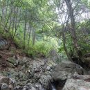 여주-0930 이미지