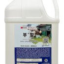 세탁예술가 이미지