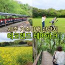 파크사이드관광호텔 | 제주가족여행 아기랑 할머니랑 방문한 에코랜드 테마파크 후기