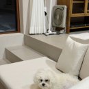 서유의섬 이미지