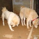 정순농장 이미지