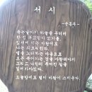 살아서도 독립만세, 죽어서도 독립만세다.[유관순 열사] 이미지