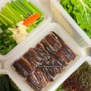 해초과메기양정점 이미지