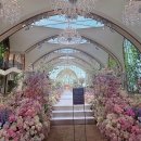 더모먼트플라워 | 추천인코드,짝꿍 할인/지조비주얼,화이트모티브,레미니스필름,하이라이트,르랑,스냅온아,더모먼트,러브드원