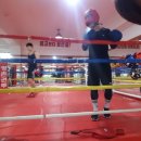 평촌 권투체육관 이미지