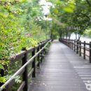 파주풀빌라워라벨호스텔 이미지