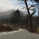 안성면114 이미지