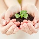 자동차 외장관리 이미지