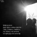 갈대이야기 이미지