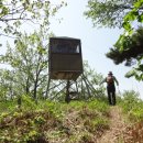 소수초등학교 이미지