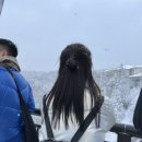 찐투어(주) 네이버블로그
