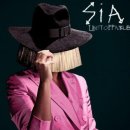 시아(SIA+) | 시아(SIA )