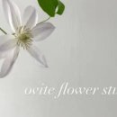 오비5길 이미지