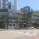 유성아파트 정문 앞 횡단보도 네이버블로그