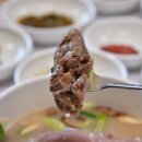 독천낙지마당 이미지