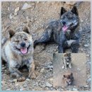 오월이네 이미지