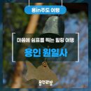 원일사 이미지
