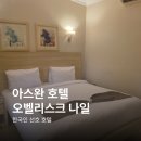 나일전기 | 이집트 아스완 호텔 추천, 오벨리스크 나일! 한국인 선호