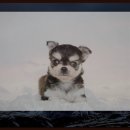 상한 농촌체험 휴양마을 이미지