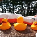 다윈하우스 이미지