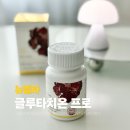 더뉴본 | 뉴벨라 글루타치온 프로 올리브 조합으로 챙겨본 뉴벨라 후기