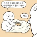 본식 드메/ 샐리브라이드 토탈샵
