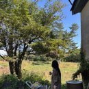 새대한목장 이미지