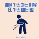 배에 가스 빼는법 배에 가스 차는 이유 배에 가스 찼을 때 증상 이미지