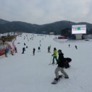 웰리힐리파크 이미지