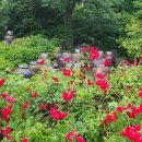 삶, 수필이다 | 한사람의 생애가 담긴 글을 공유하는 기쁨과 의미(『나의 삶과 기행』 -김기덕 수필집/다솜미디어)