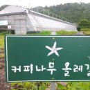 대정농장 이미지