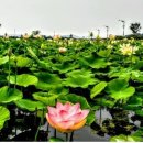 조천 산책로화장실 이미지