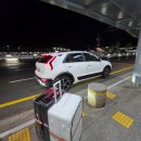 ㈜제주명품렌트카 | 제주도 렌트카 이용후기 "제주명품렌트카" 비행기 결항으로 연장