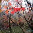 가을탐방(성인) 이미지