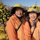 신정중학교 이미지