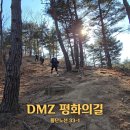 강원 고성 가볼만한곳 코리아둘레길 DMZ평화의길 횡단노선 33-1코스 김일성별장 응봉 대진항