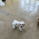 싱글몽글 이미지