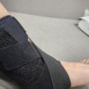 모란튼튼척의원 이미지